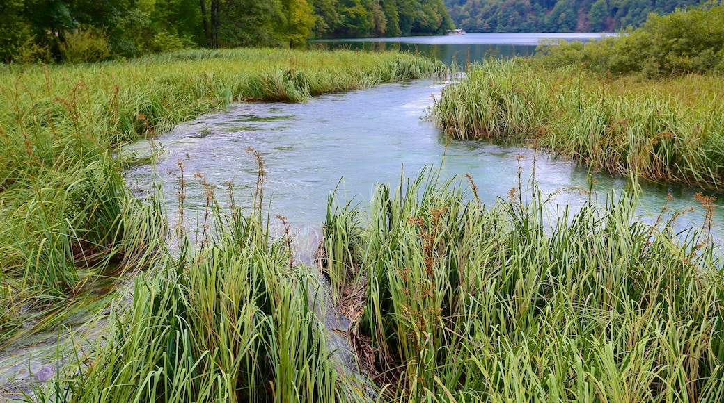 Plitvice Lakes National Park showing a lake or waterhole