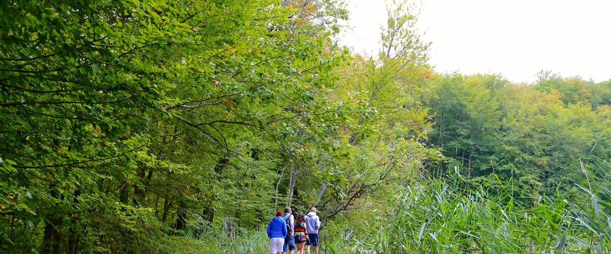 Plitvice Lakes National Park - Entrance 1 which includes hiking or walking and forests
