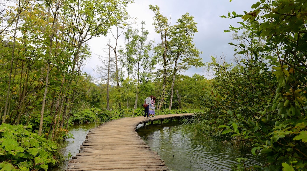 Plitvice Lakes National Park showing hiking or walking and a river or creek