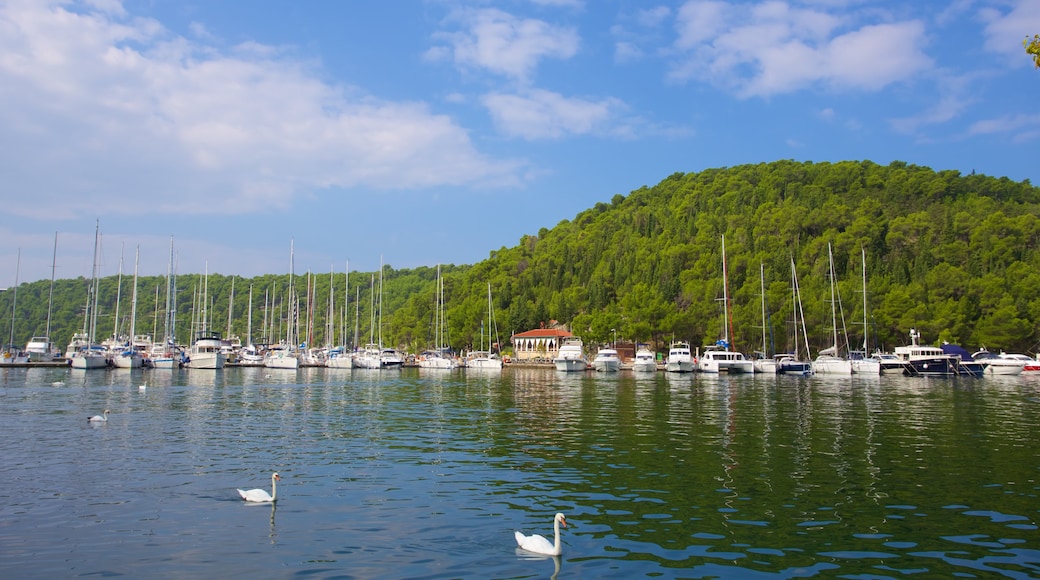 Nationalpark Krka mit einem Vögel, Segeln und Fluss oder Bach