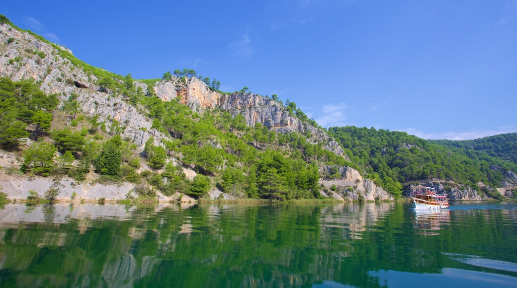 Nationaal Park Krka bevat een meer of poel en varen