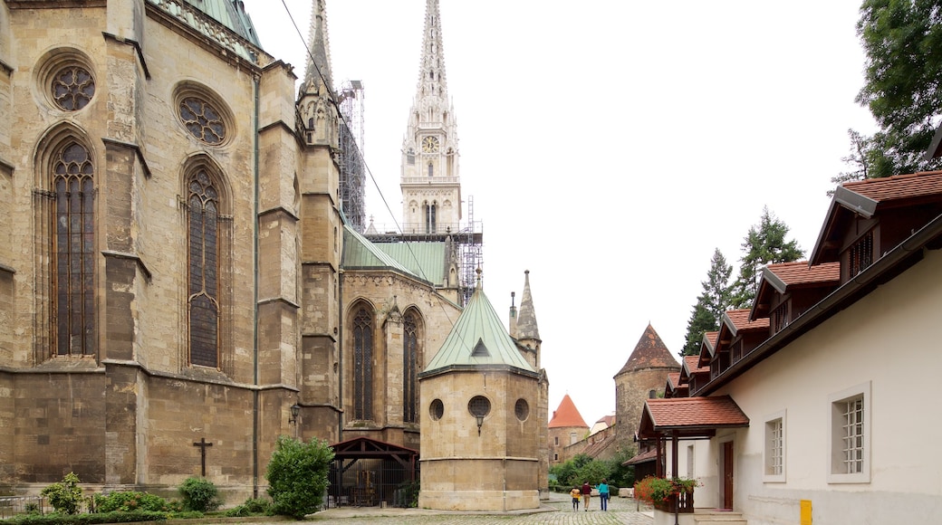 Kathedraal van Zagreb toont een kerk of kathedraal