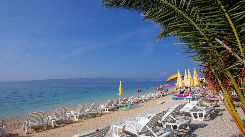 Brela Beach featuring a pebble beach