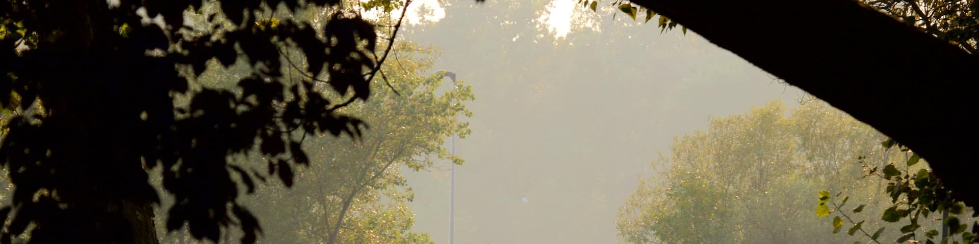 Jarun which includes a park and cycling