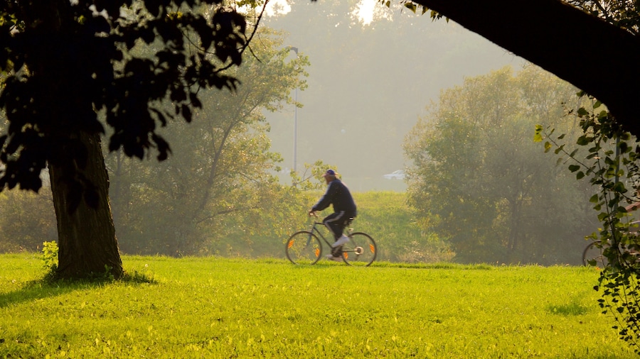 Jarun presenterar en park och cykling
