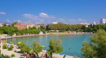 Playa de Bacvice mostrando vistas de una costa y una ciudad