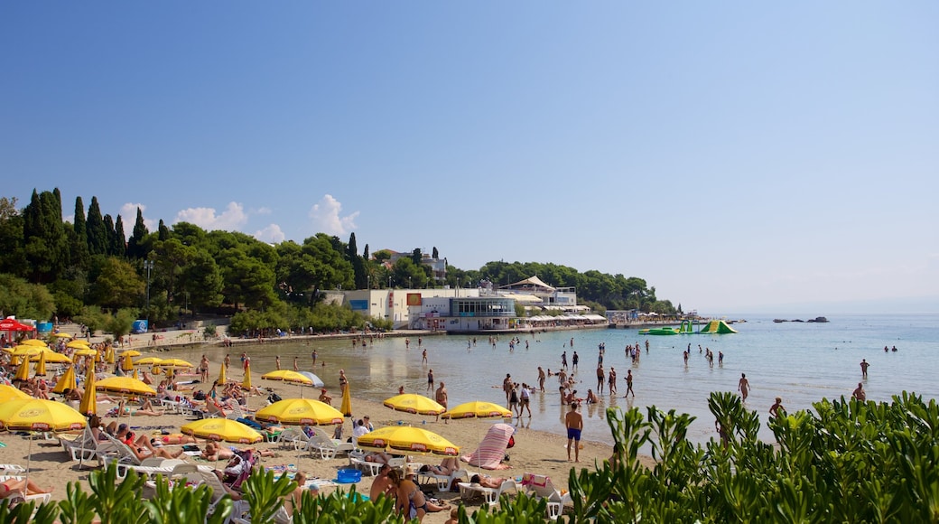 Bacvice Beach showing general coastal views