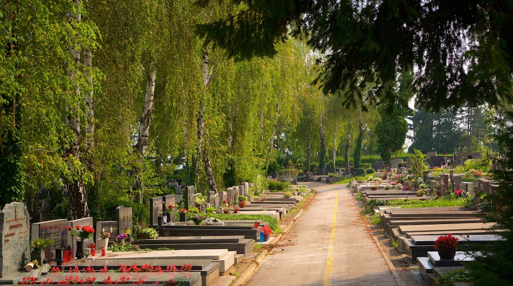 Mirogoj Cemetery mettant en vedette cimetière