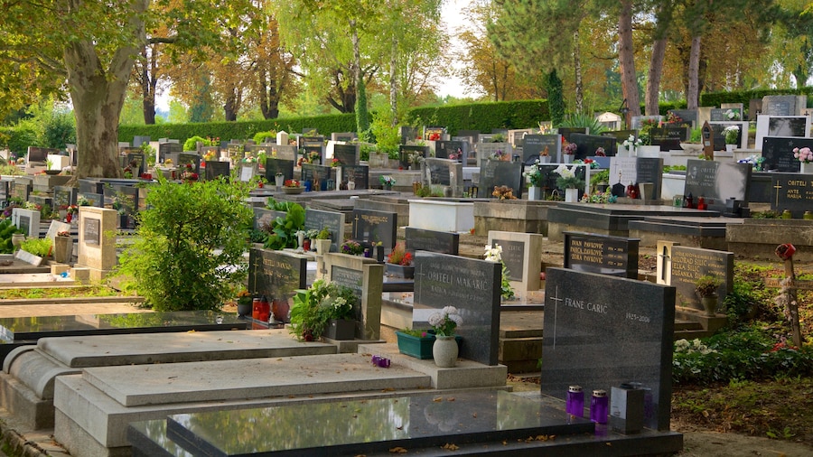 Mirogoj Cemetery which includes a cemetery