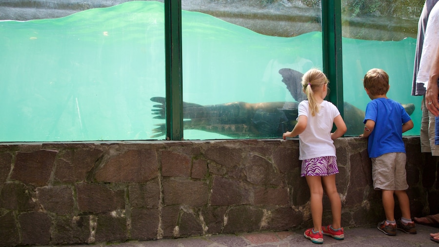 Zagreb Zoo which includes zoo animals and marine life as well as children