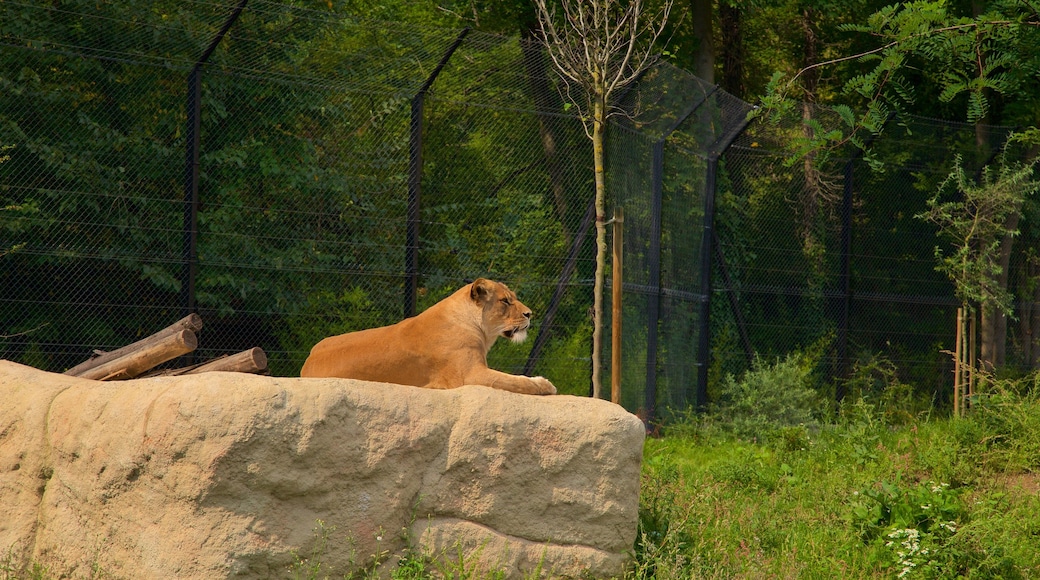 Zoo Zagreb mit einem Zootiere und gefährliche Tiere