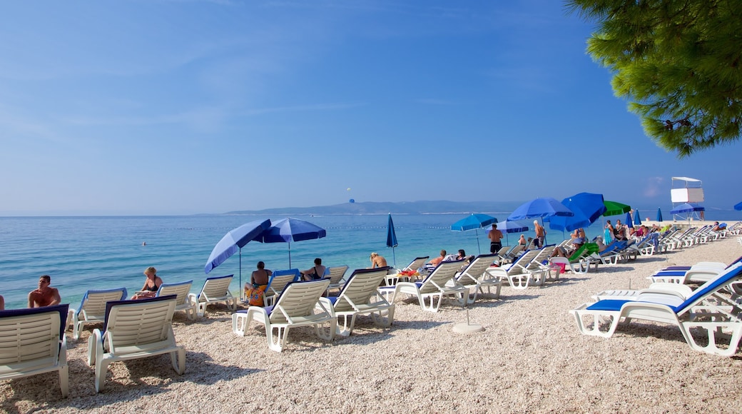 Strand von Baška Voda das einen Steinstrand sowie kleine Menschengruppe