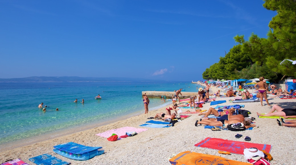 Baška Voda-stranden som visar en stenstrand såväl som en liten grupp av människor
