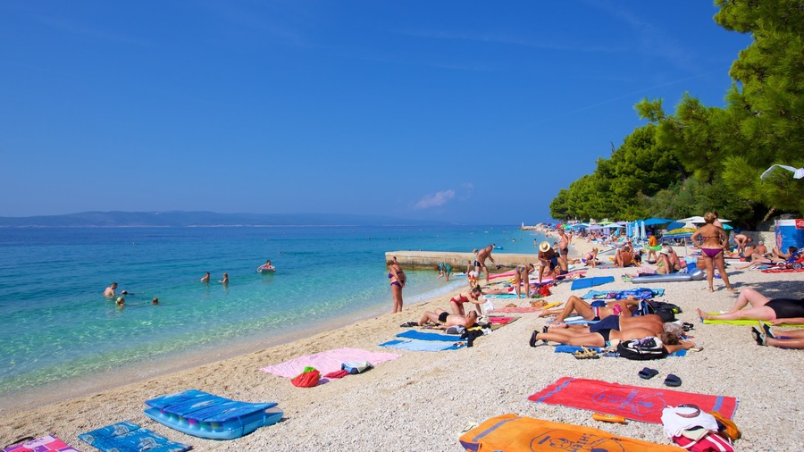 Playa Baska Voda ofreciendo una playa de piedras y también un pequeño grupo de personas