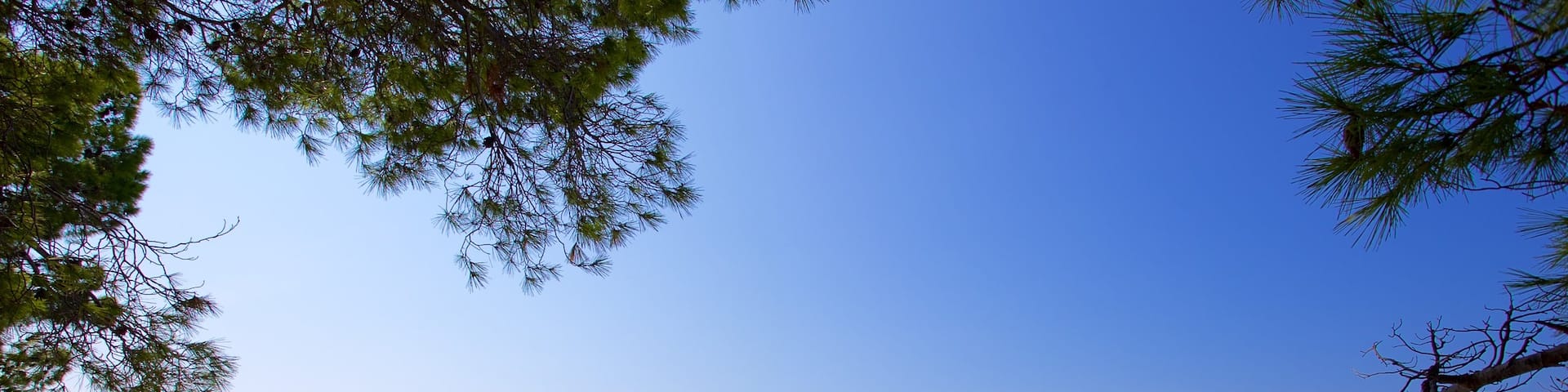 Playa Baska Voda ofreciendo vistas generales de la costa y también un pequeño grupo de personas