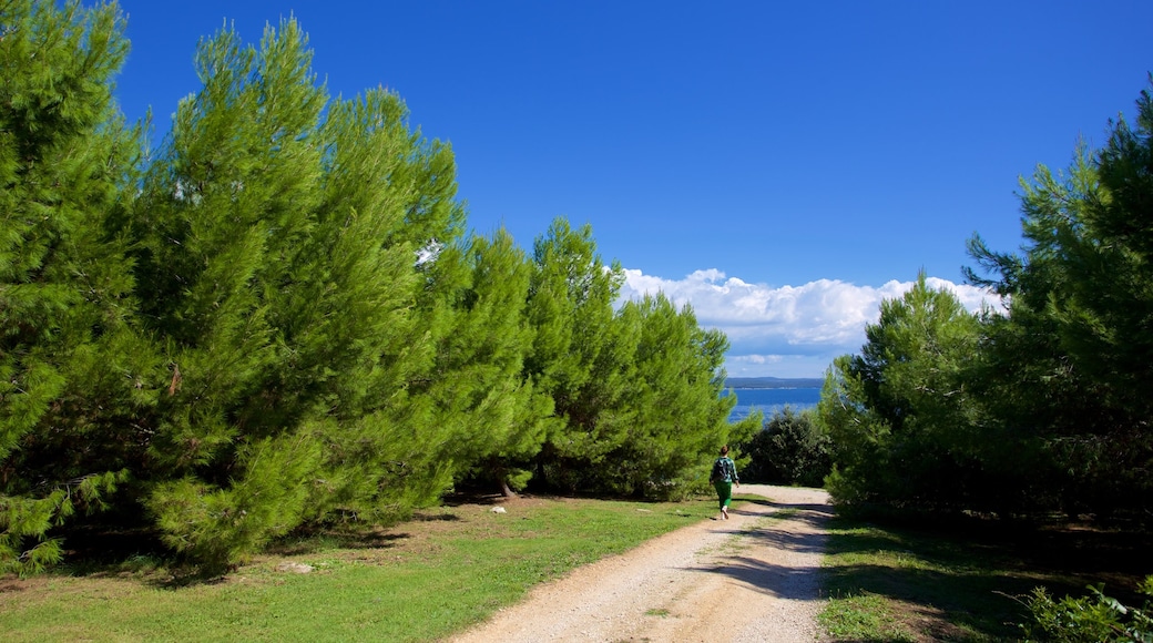 Rote Insel welches beinhaltet Wandern oder Spazieren