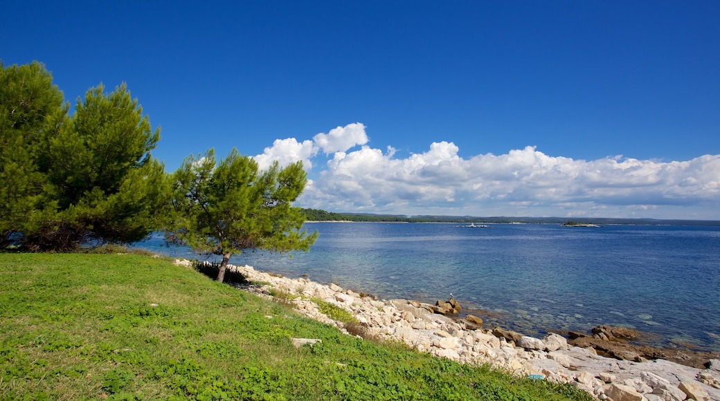 Isola Rossa che include costa rocciosa