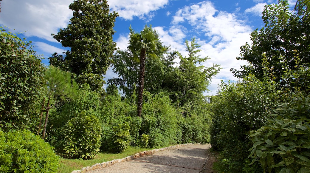 Primorje-Gorski Kotar