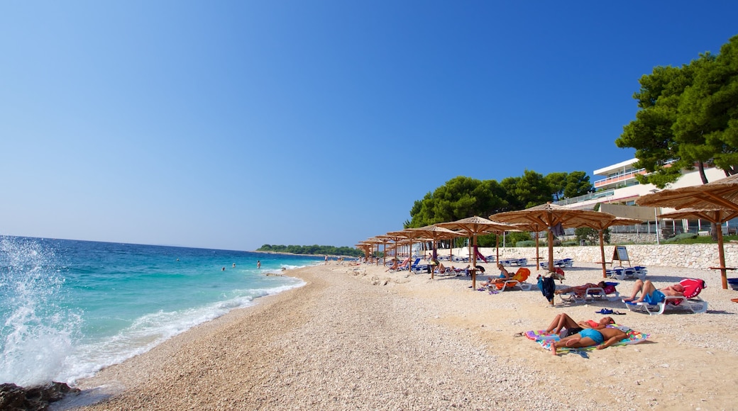 Primosten Beach which includes a pebble beach as well as a small group of people