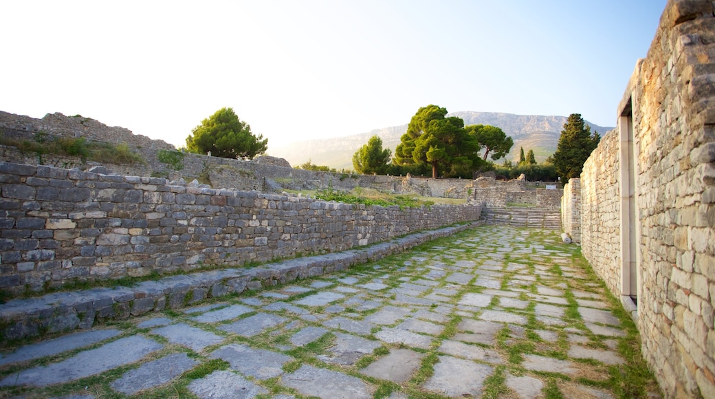 Ruinas de Salona ofreciendo ruinas de un edificio y elementos patrimoniales