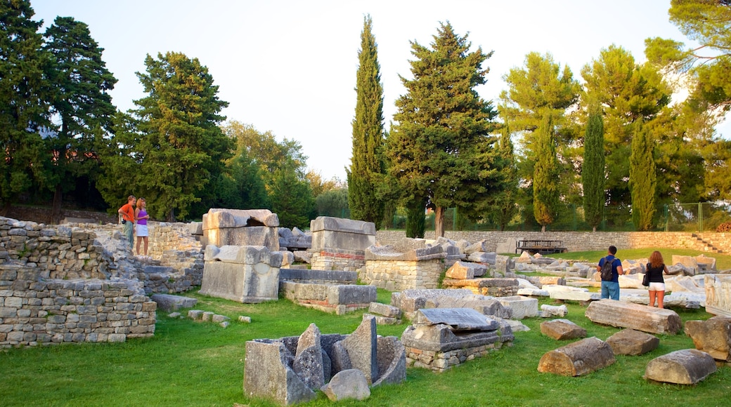 Salona Ruins showing a ruin and heritage elements as well as a small group of people