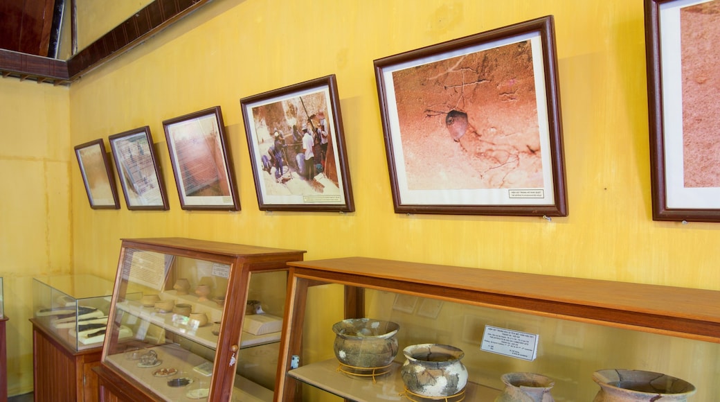 Museo culturale di Sa Huynh mostrando vista interna