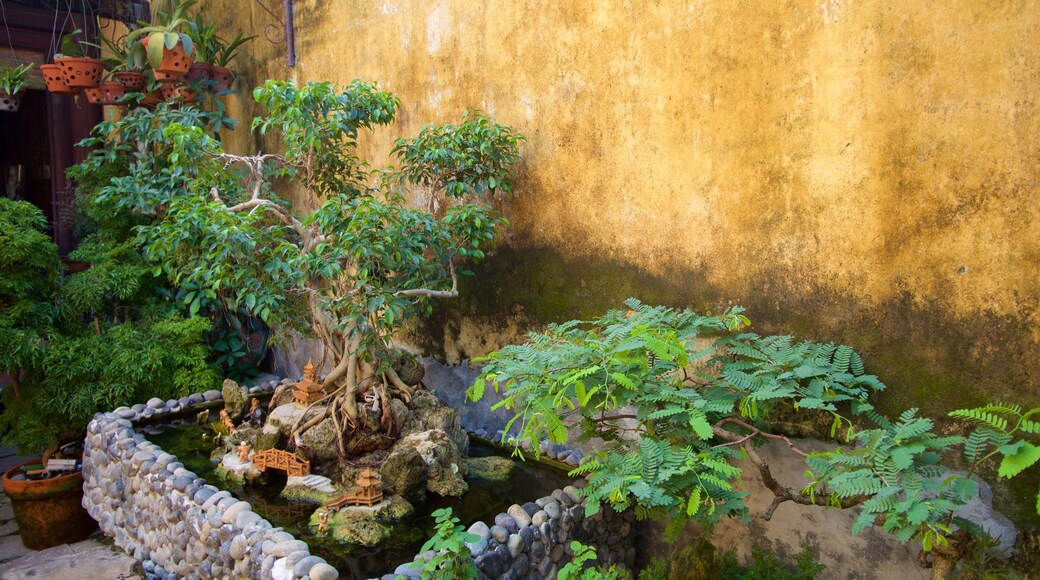 Hoi An showing a garden