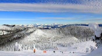 Whitefish que incluye vista panorámica, ski en la nieve y montañas