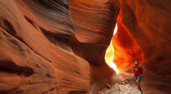 St. George showing climbing and a gorge or canyon as well as an individual male