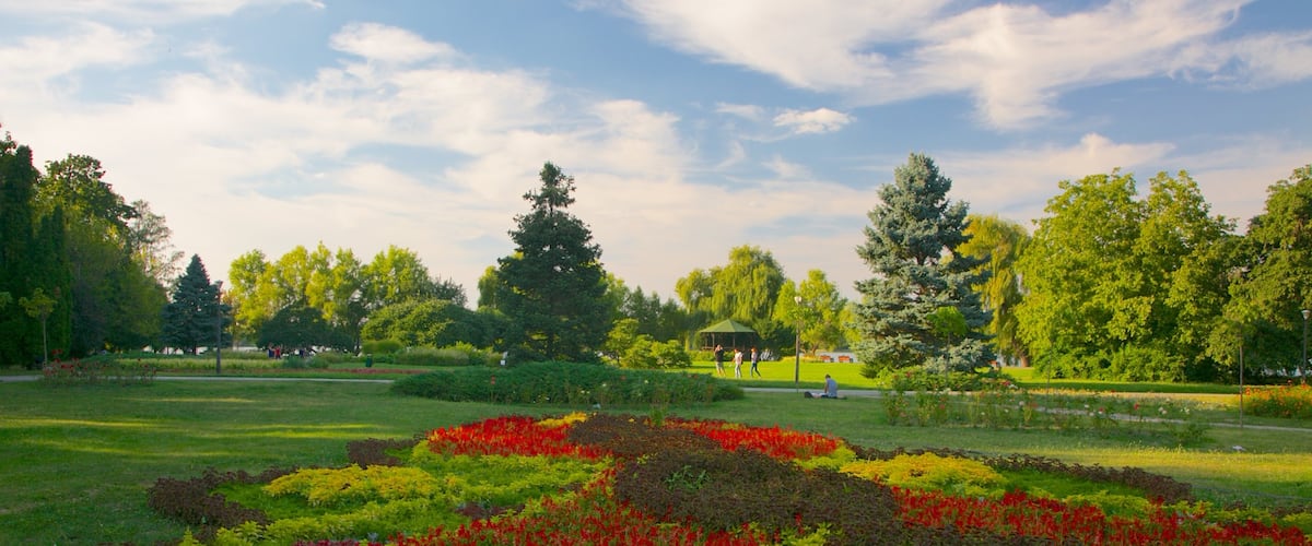 Herastrau Park showing flowers and a garden