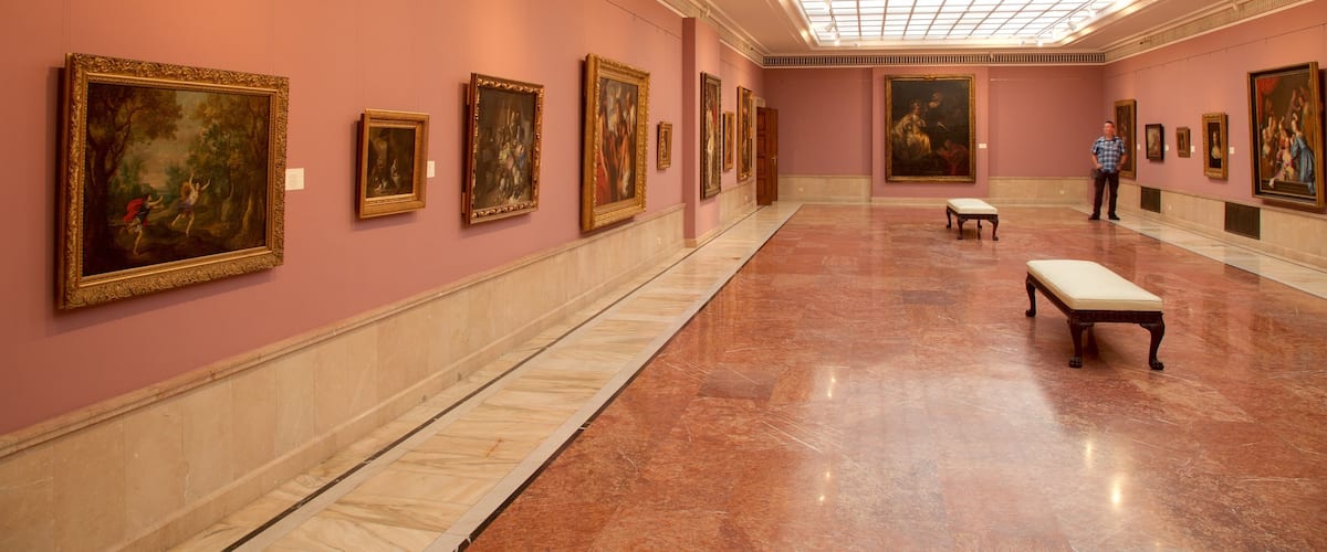 National Museum of Art of Romania which includes interior views and art as well as an individual male