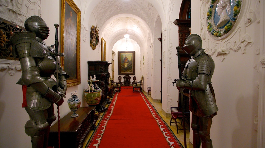 Castillo de Peles que incluye artículos militares, un castillo y vista interna