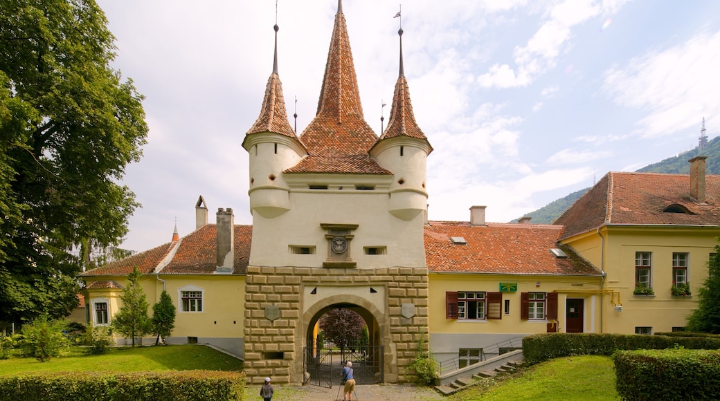 Brasov showing a castle