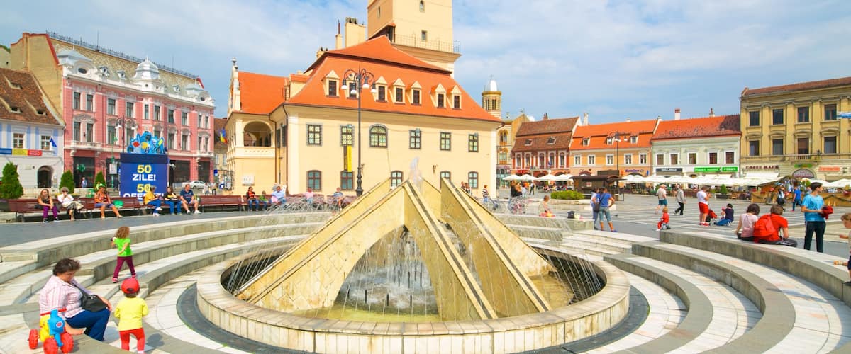 Brasov que incluye una ciudad, patrimonio de arquitectura y una fuente