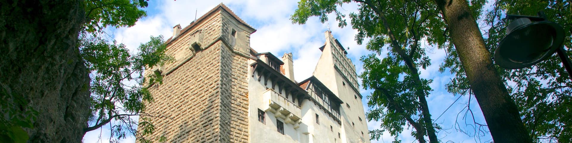 Bran Castle showing a castle and heritage architecture