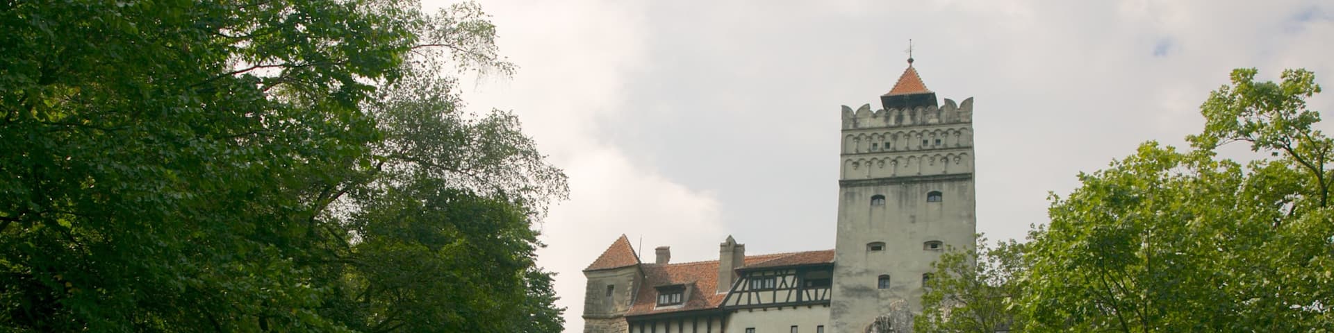 Bran Castle showing a castle and heritage architecture