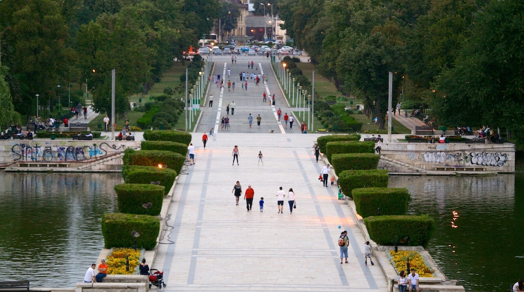 Carol Park showing a square or plaza, a park and a river or creek