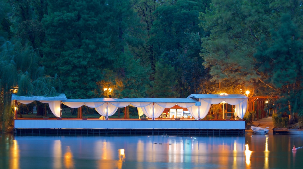 Carolpark bevat een rivier of beek en nachtleven