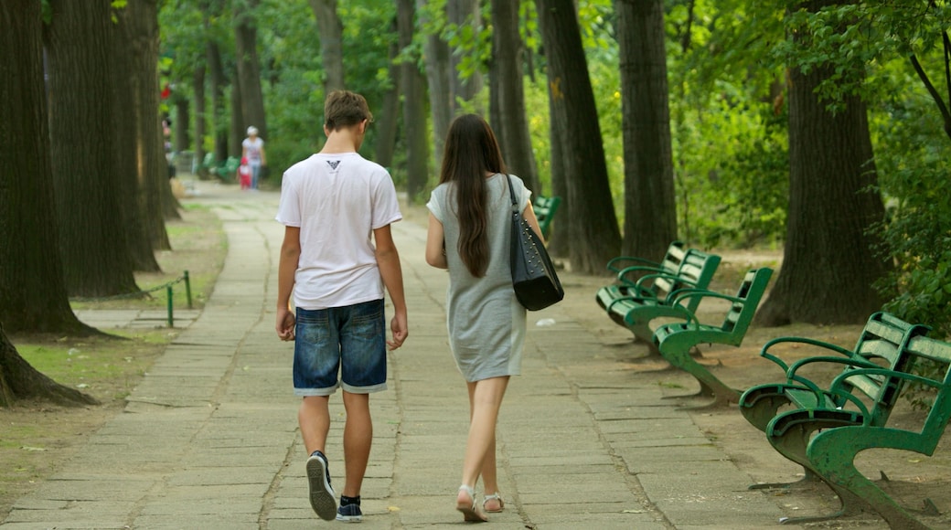 Parque Herastrau mostrando um parque assim como um casal