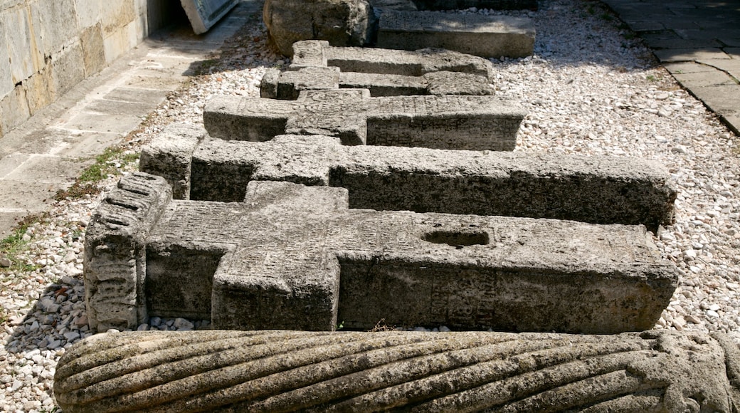 Curtea Veche mostrando castello, religiosità e cimitero