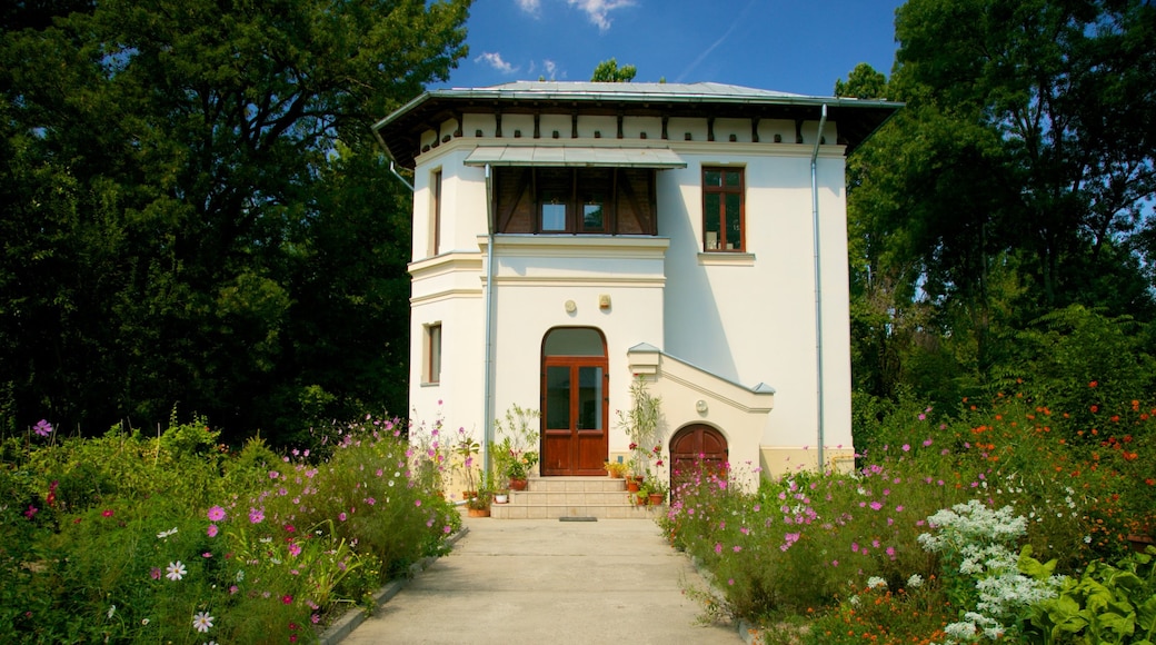 Giardino botanico di Bucarest mostrando casa, fiori e parco