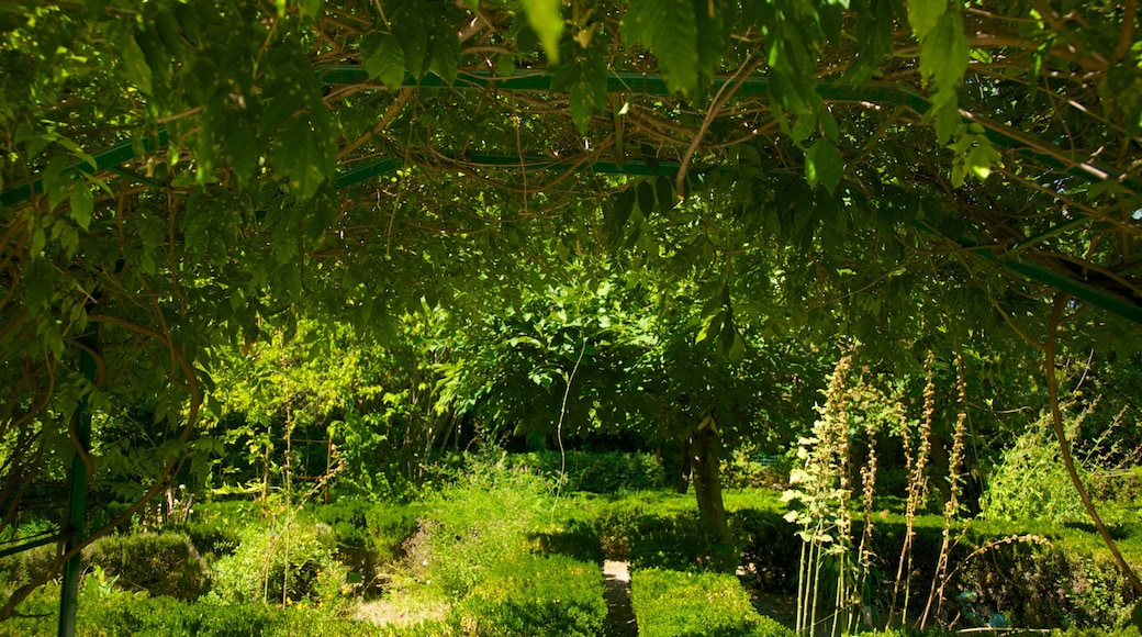 Bukarests botaniska trädgård som visar en park