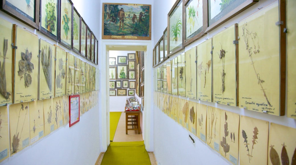 Bucharest Botanical Garden showing interior views