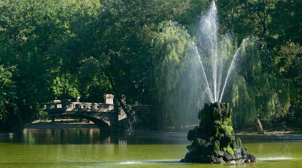 Cismigiu Garden which includes a river or creek, a bridge and a fountain