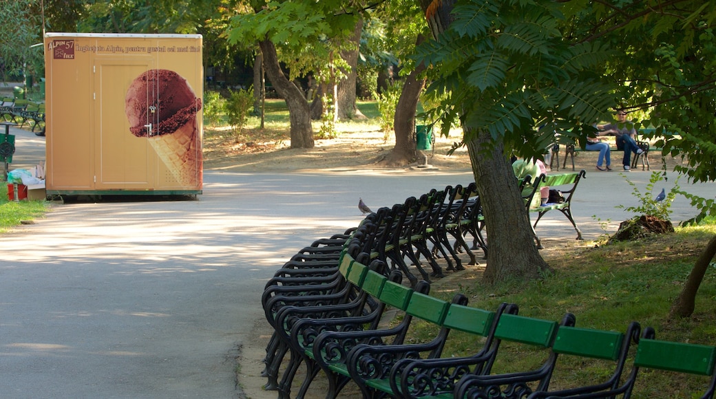 Cişmigiu Gardens welches beinhaltet Park