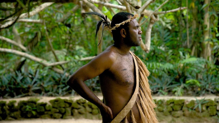 Port Vila que incluye cultura indígena y también un hombre