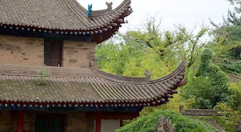 Gran Pagoda del Ganso Salvaje que incluye un templo o lugar de culto y arquitectura patrimonial