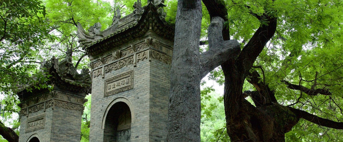 Giant Wild Goose Pagoda featuring a garden and a temple or place of worship