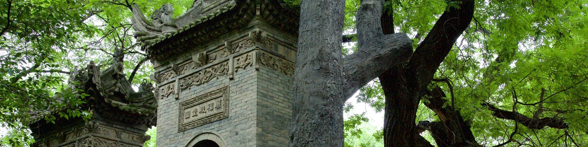 취장 신지구, 시안, 산시(섬서), 중국
