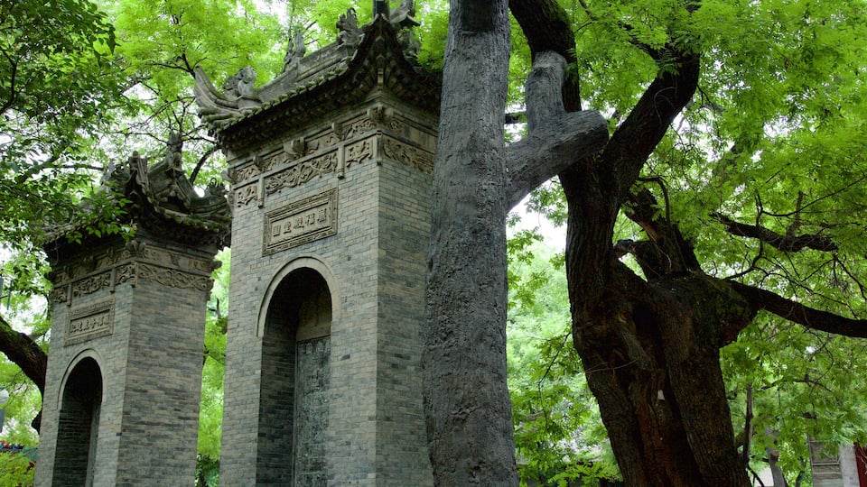Gran Pagoda del Ganso Salvaje ofreciendo un templo o lugar de culto y un jardín